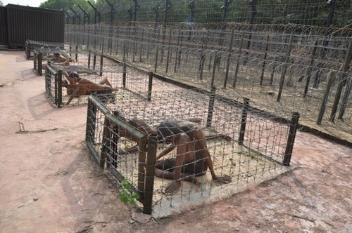 Phú Quốc ảnh 5 Phu Quoc anh 5