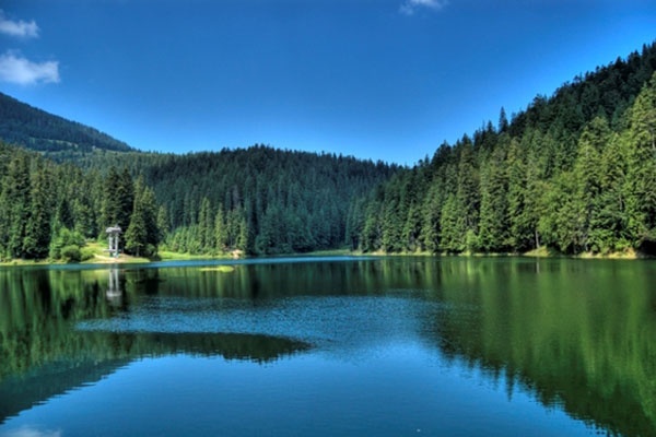 Gio banh mi chau Au anh 7