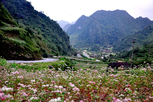 Lũng cú Hà Giang ảnh 6 Lung cu Ha Giang anh 6