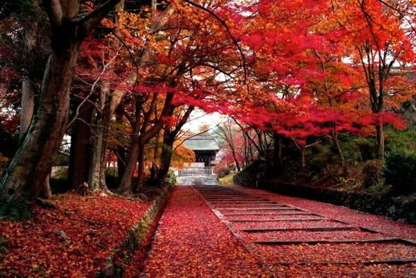 Biệt danh các quốc gia ảnh 5 Biet danh cac quoc gia anh 5