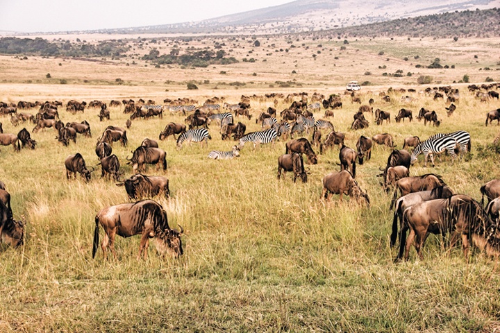 Biệt danh các quốc gia ảnh 6 Biet danh cac quoc gia anh 6