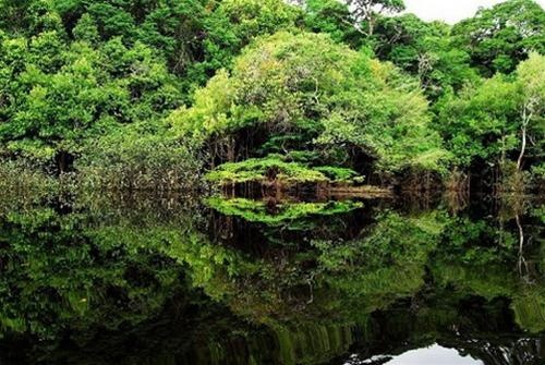 Đất nước Brazil ảnh 6 Dat nuoc Brazil anh 6