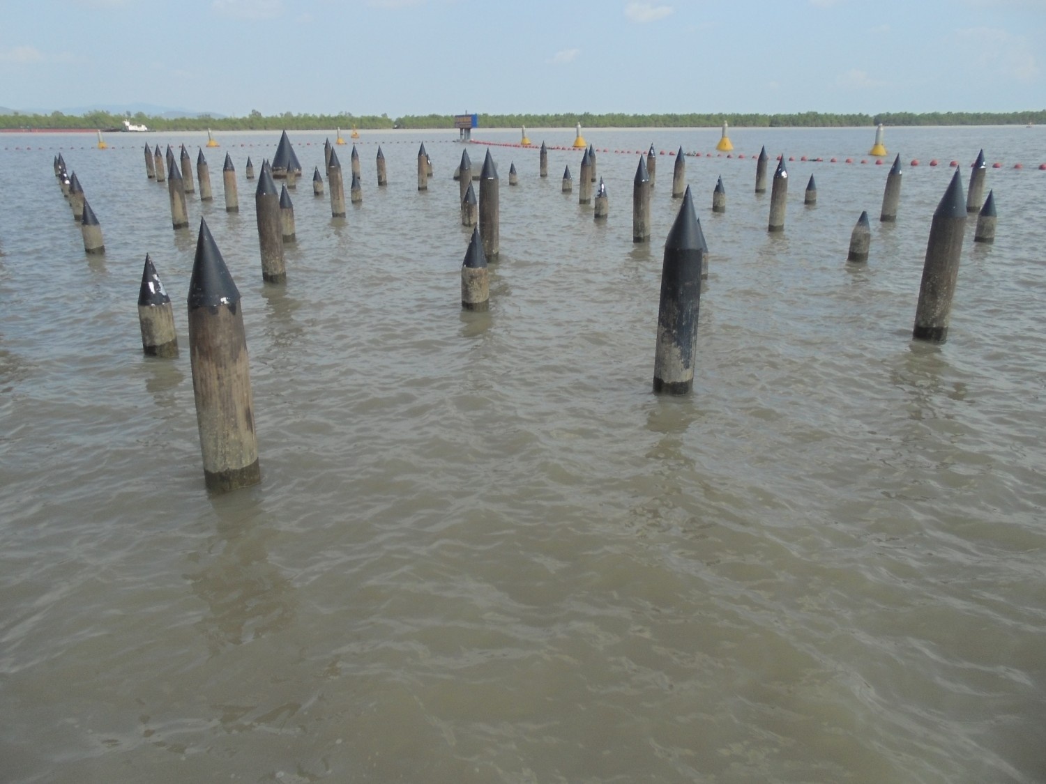 Song Bach Dang anh 4