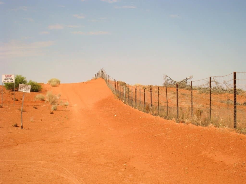 Dat nuoc cuoi tren lung cuu anh 4