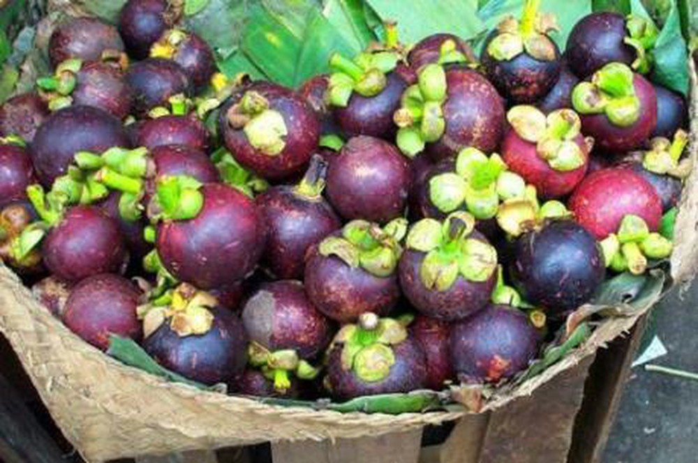 Măng cụt ảnh 2 Mang cut anh 2