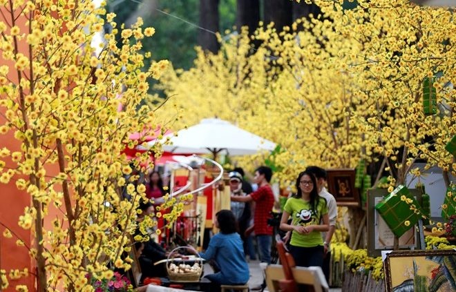 Tet Nguyen dan anh 3