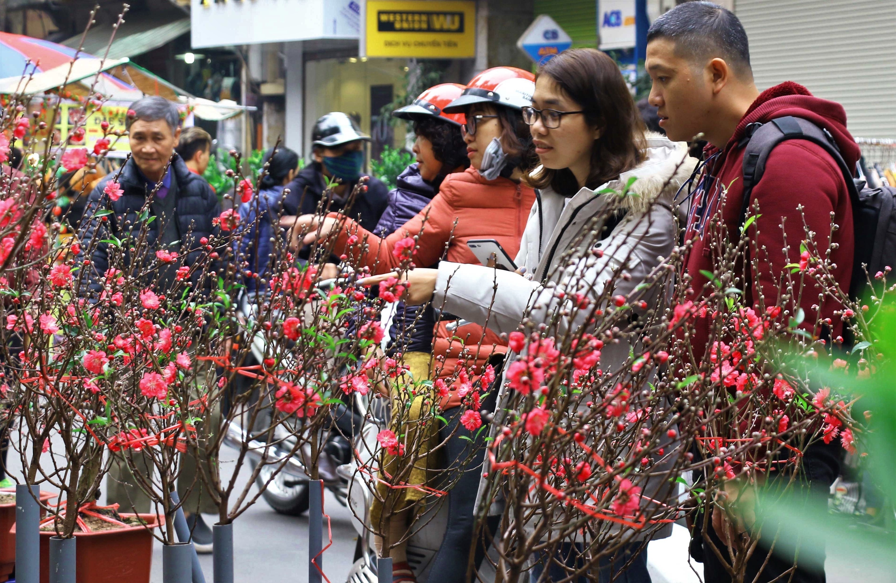 Tết ảnh 6 Tet anh 6