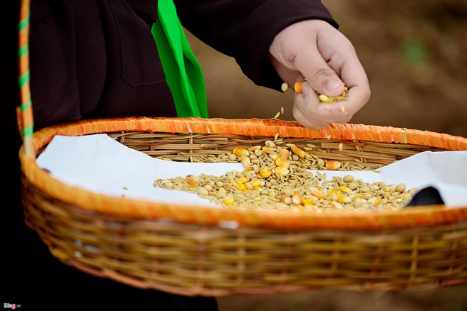 Cay ruong dau nam anh 2