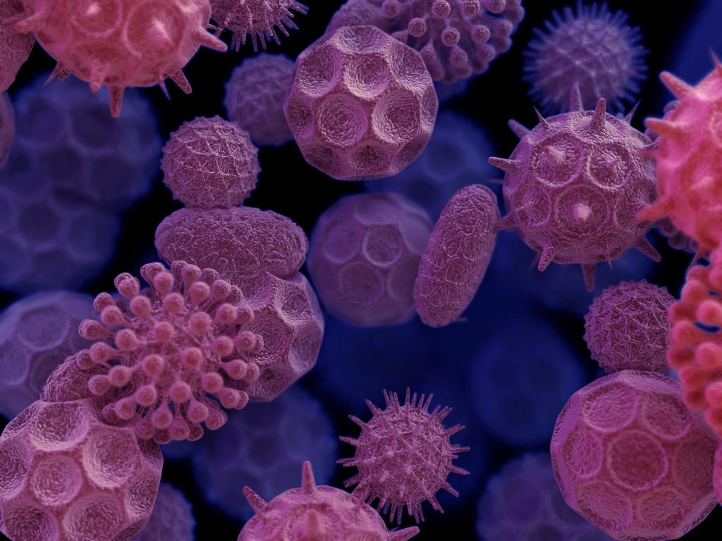 Người tìm ra vaccine ảnh 3 Nguoi tim ra vaccine anh 3