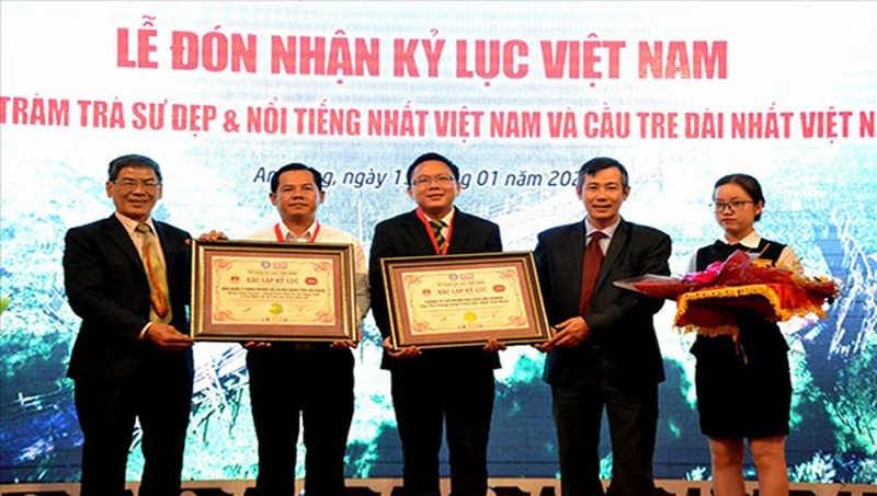 Rừng tràm Trà Sư ảnh 6 Rung tram Tra Su anh 6