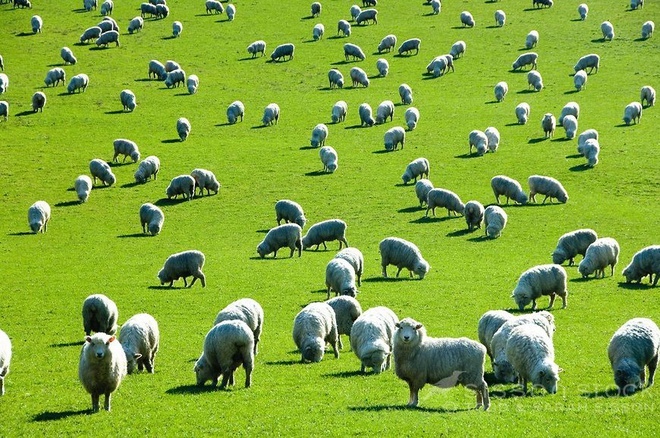 Biet danh quoc gia anh 3