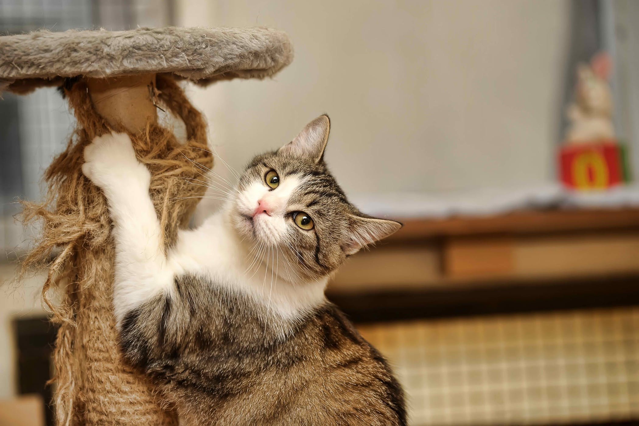 Biet danh quoc gia anh 4