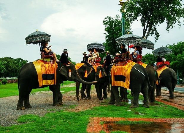 Biet danh quoc gia anh 5