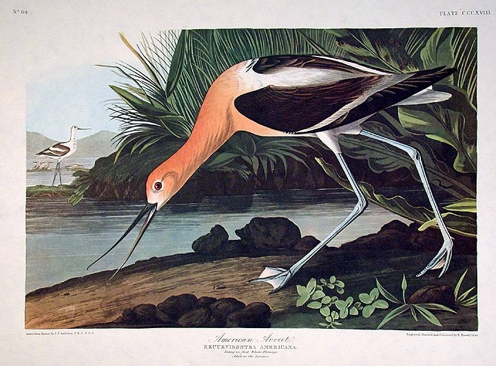 Cuon sach dat gia anh 1