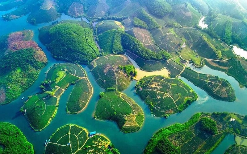 Dao che dep nhat mien Trung hinh anh