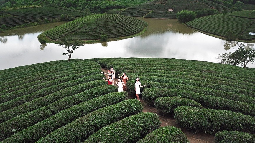 Dao che dep o Viet Nam anh 3