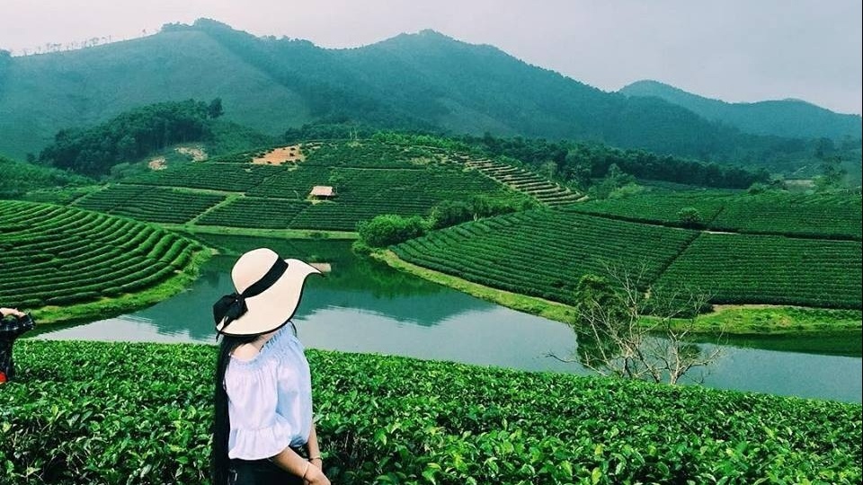 Dao che dep o Viet Nam anh 4