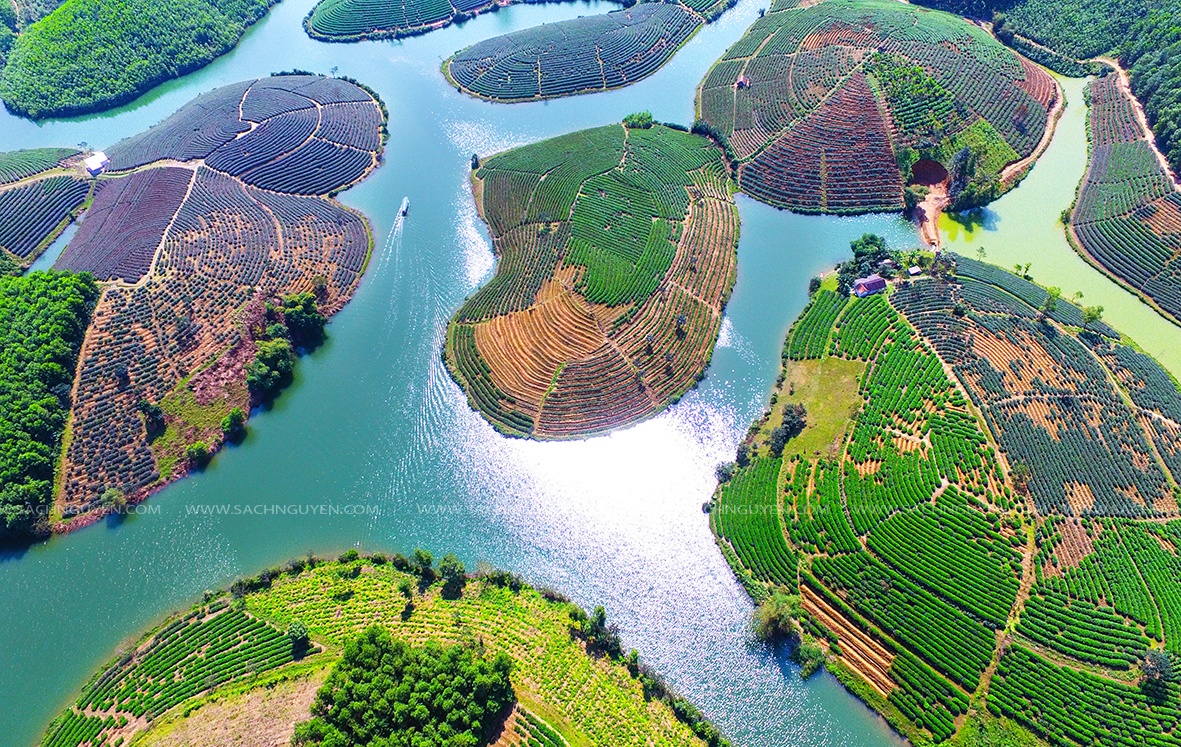 Dao che dep o Viet Nam anh 6