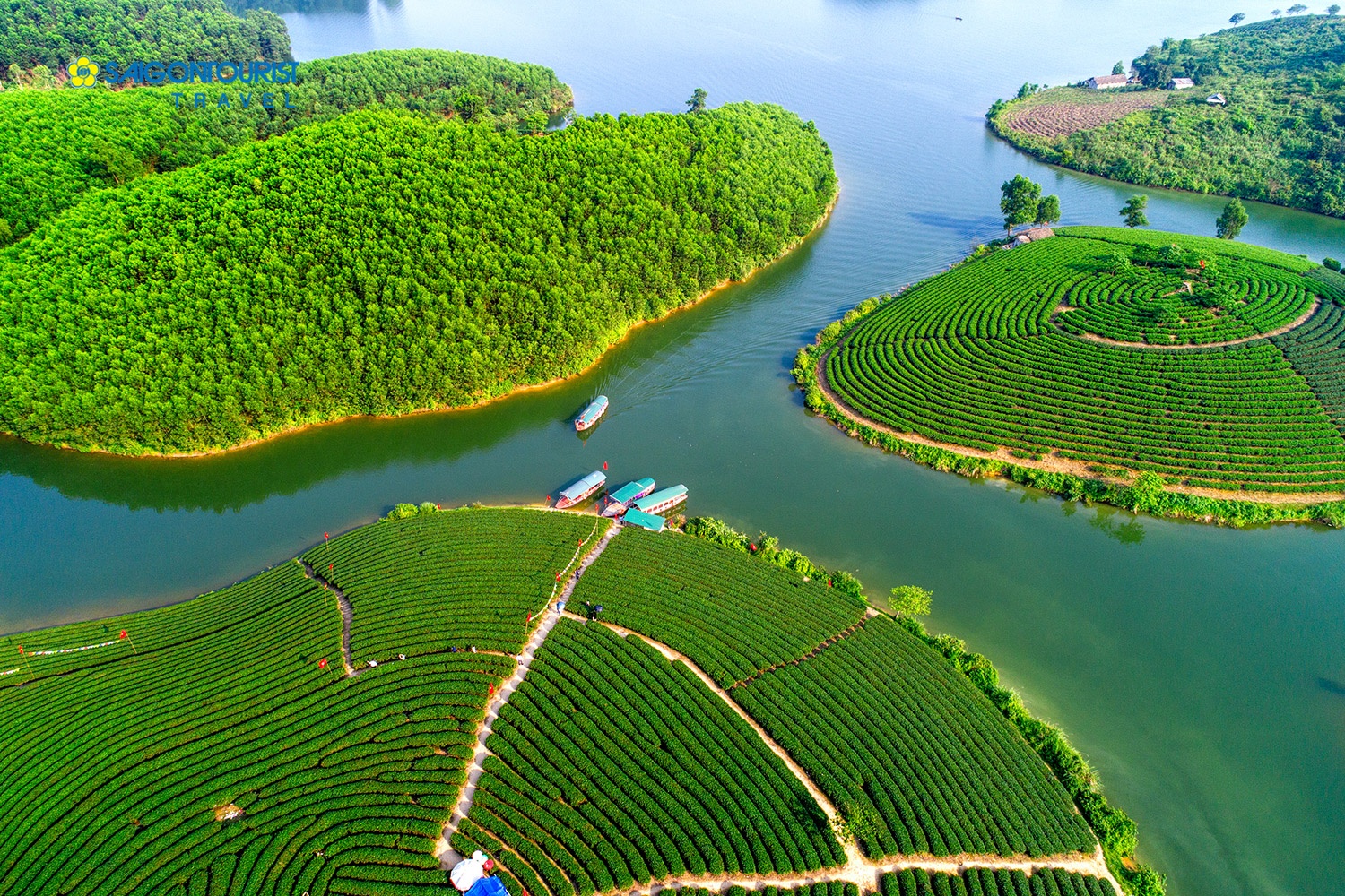 Dao che dep o Viet Nam anh 7