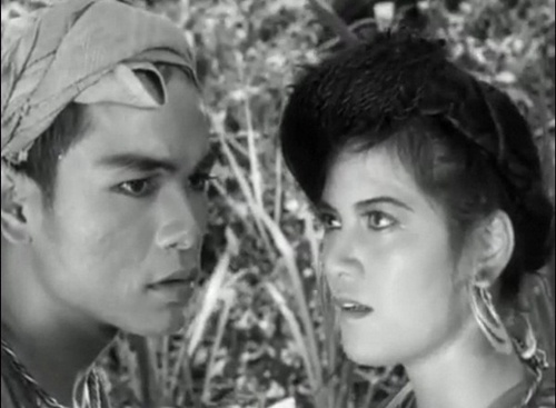 'Vo chong A Phu' duoc in trong tap truyen nao? hinh anh