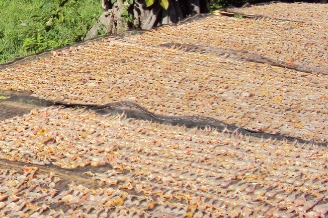 Dac san An Giang anh 4