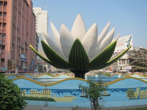 Hoa sung trang anh 1