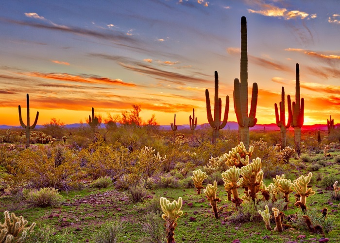 Dat nuoc Chile anh 3