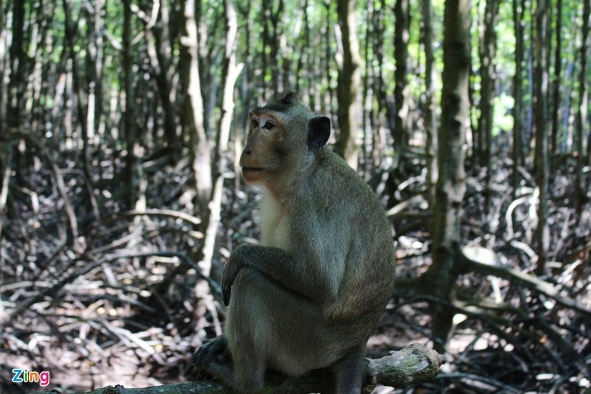 Du lich Viet Nam anh 4