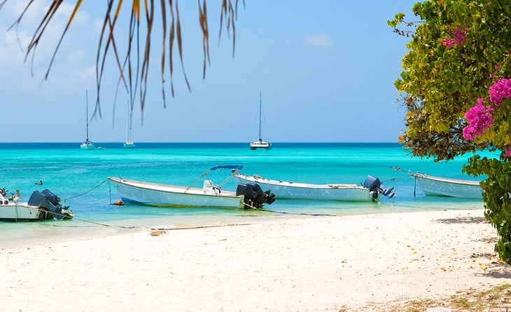 Dat nuoc Venezuela anh 2