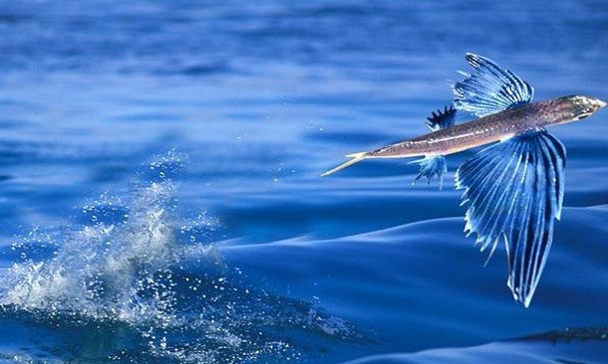 Du lich Quang Nam anh 1