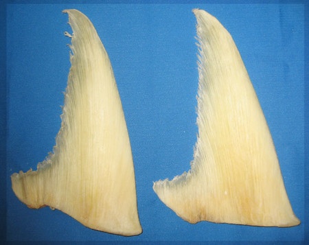 Am thuc cung dinh ngay xua anh 4