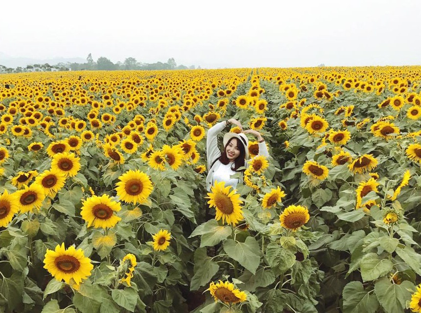 Du lich Nghe An anh 4