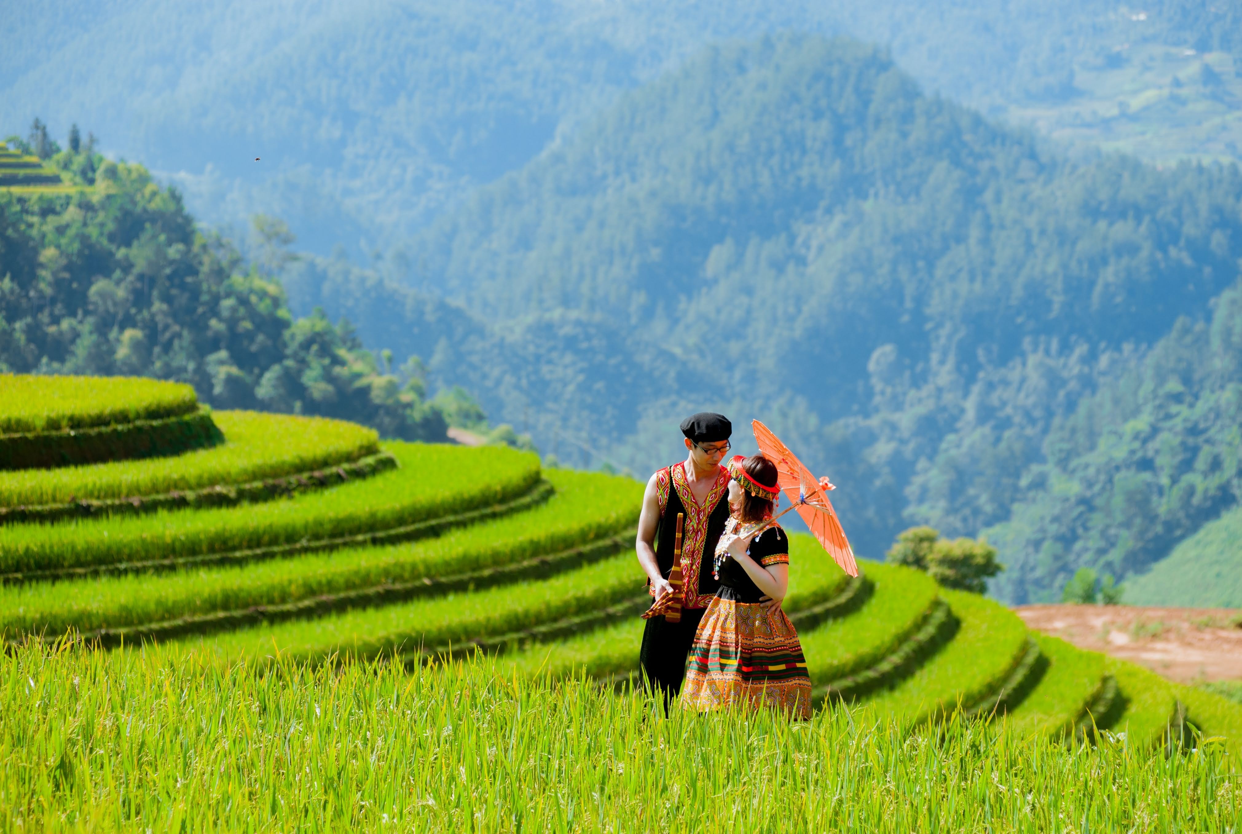 Ruộng bậc thang ảnh 1 Ruong bac thang anh 1
