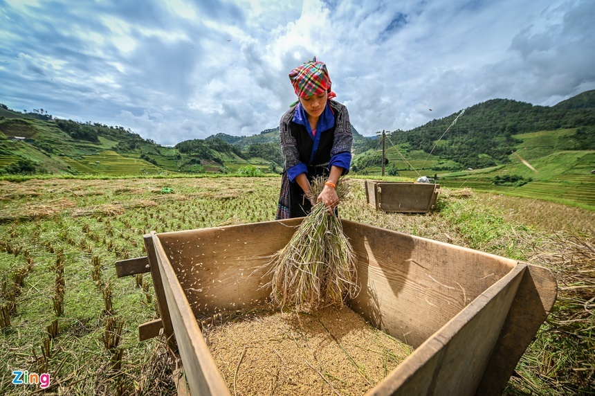 Ruộng bậc thang ảnh 4 Ruong bac thang anh 4