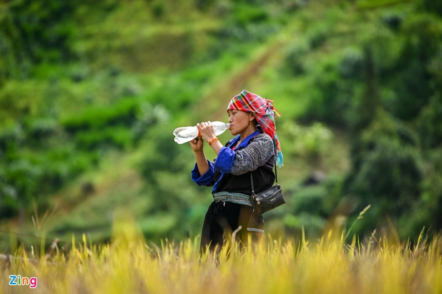 Ruộng bậc thang ảnh 6 Ruong bac thang anh 6