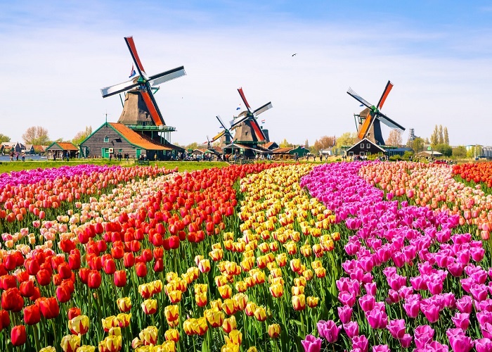 Biet danh cac quoc gia anh 1