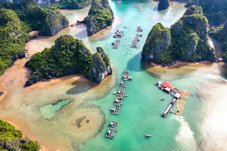 Song ngoi Viet Nam anh 2