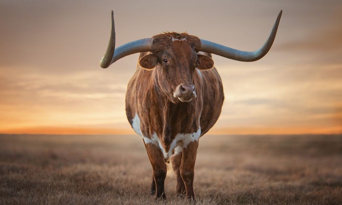 Bo sung dai nuoc My anh 4