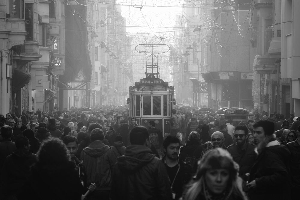 tac gia anh cau Can Tho anh 1