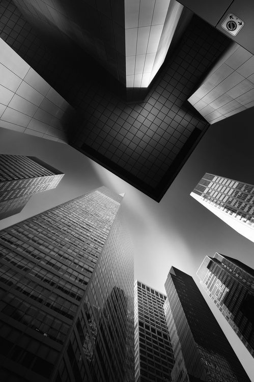 tac gia anh cau Can Tho anh 3