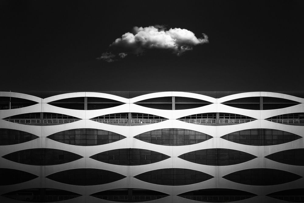 tac gia anh cau Can Tho anh 6