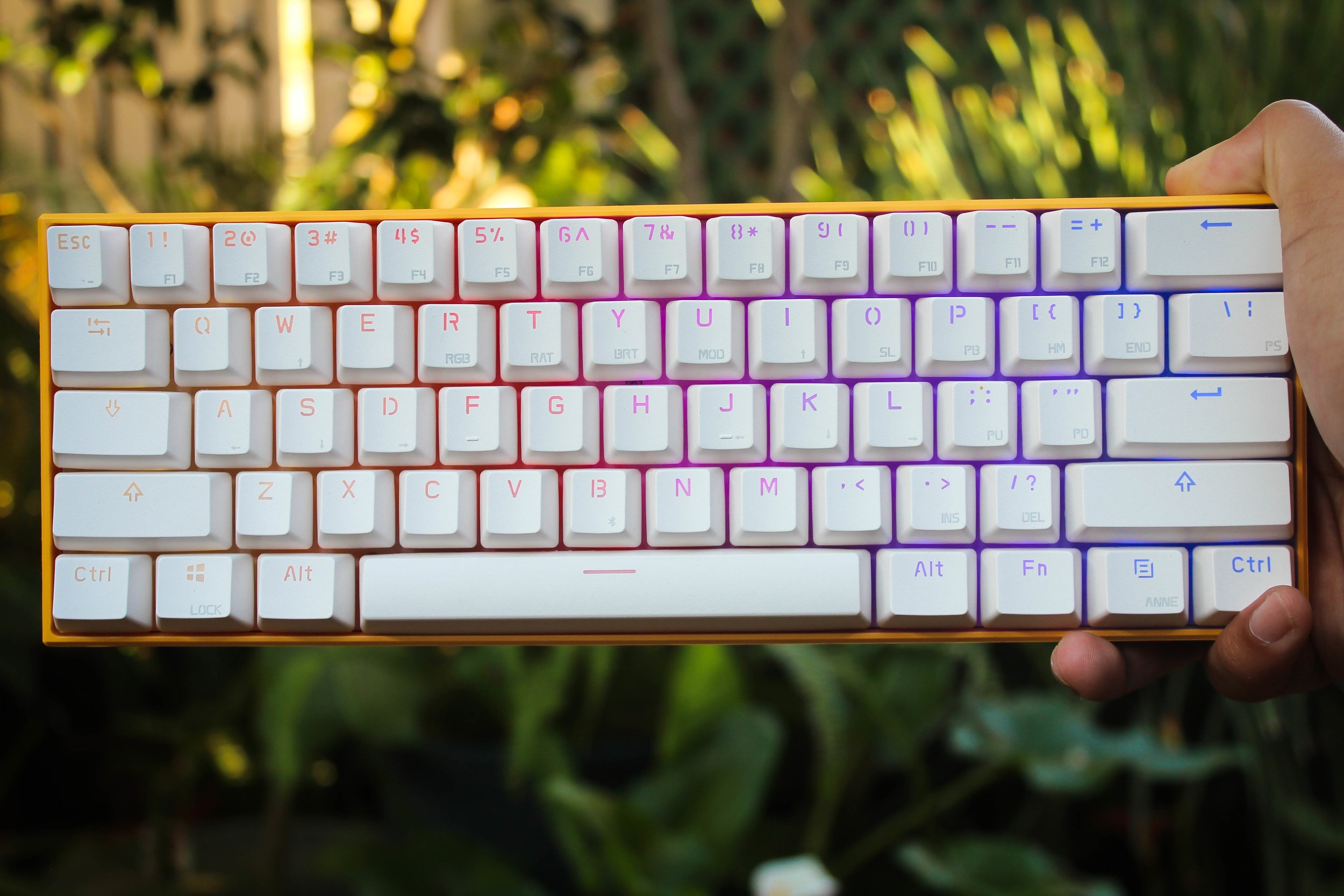 Ban phim co gia tot anh 4