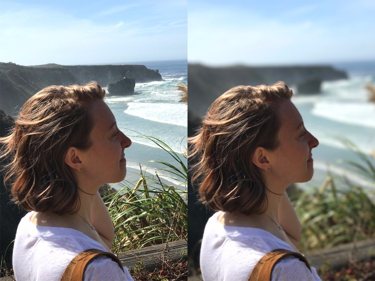 Meo o che do chan dung anh 1