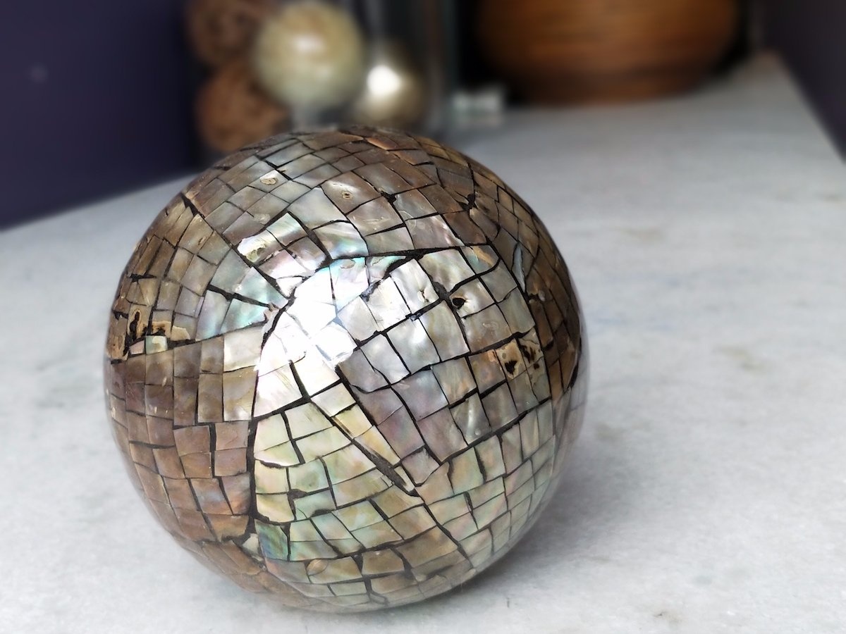 Meo o che do chan dung anh 2