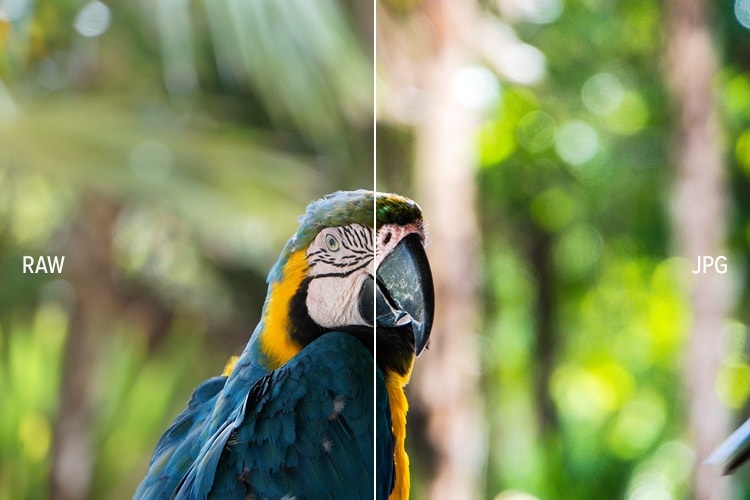 chup anh tren smartphone anh 6