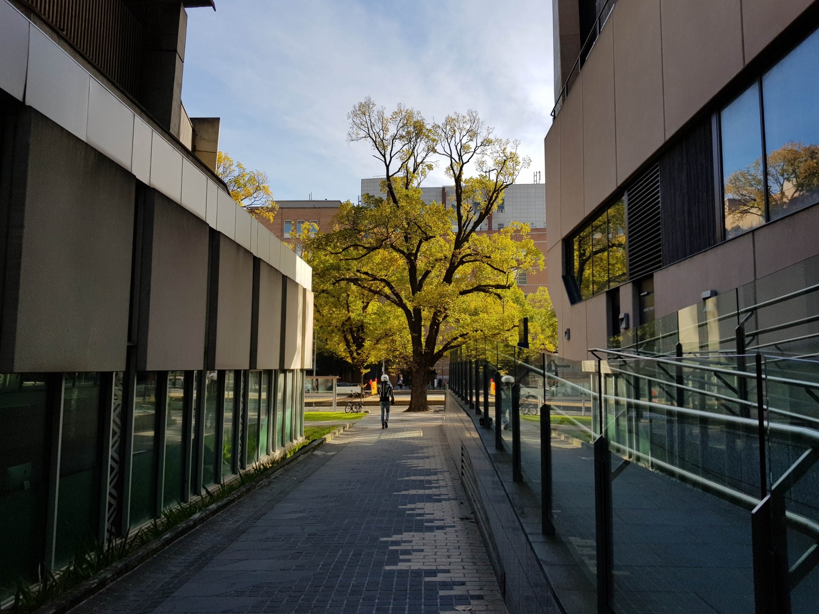 chup anh tren smartphone anh 7