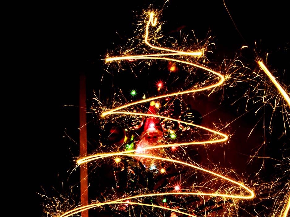 meo chup anh Giang sinh anh 12