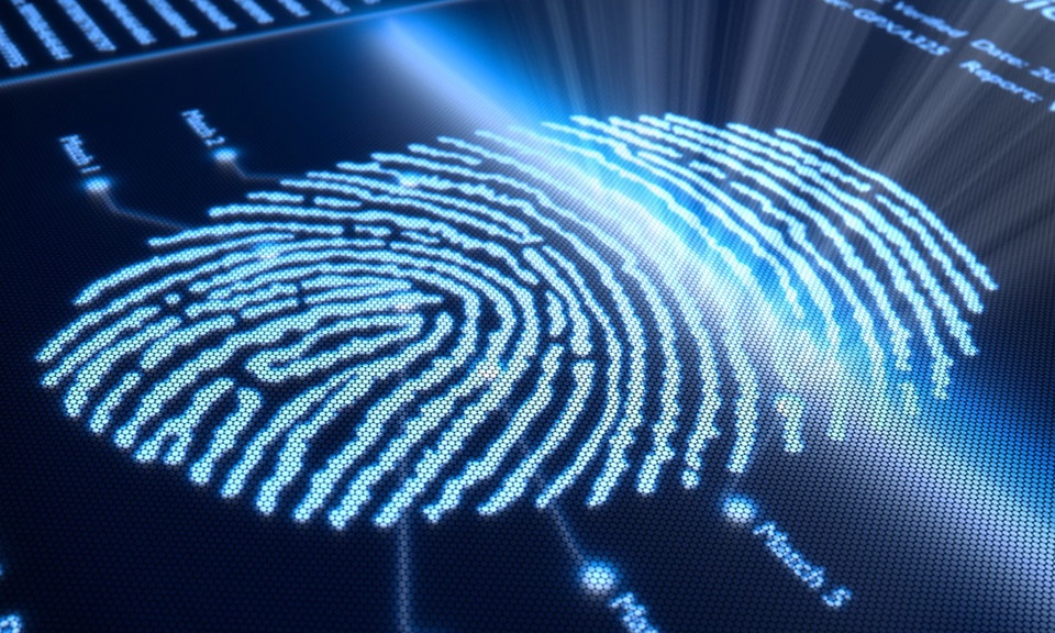 Những xu hướng phát triển trên điện thoại ảnh 1 Nhung xu huong phat trien tren dien thoai anh 1