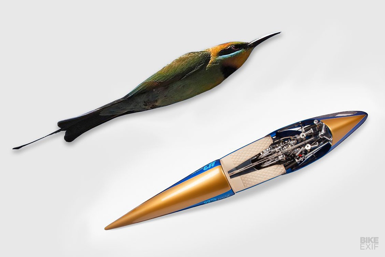 Xe do Triumph co van toc khung anh 7