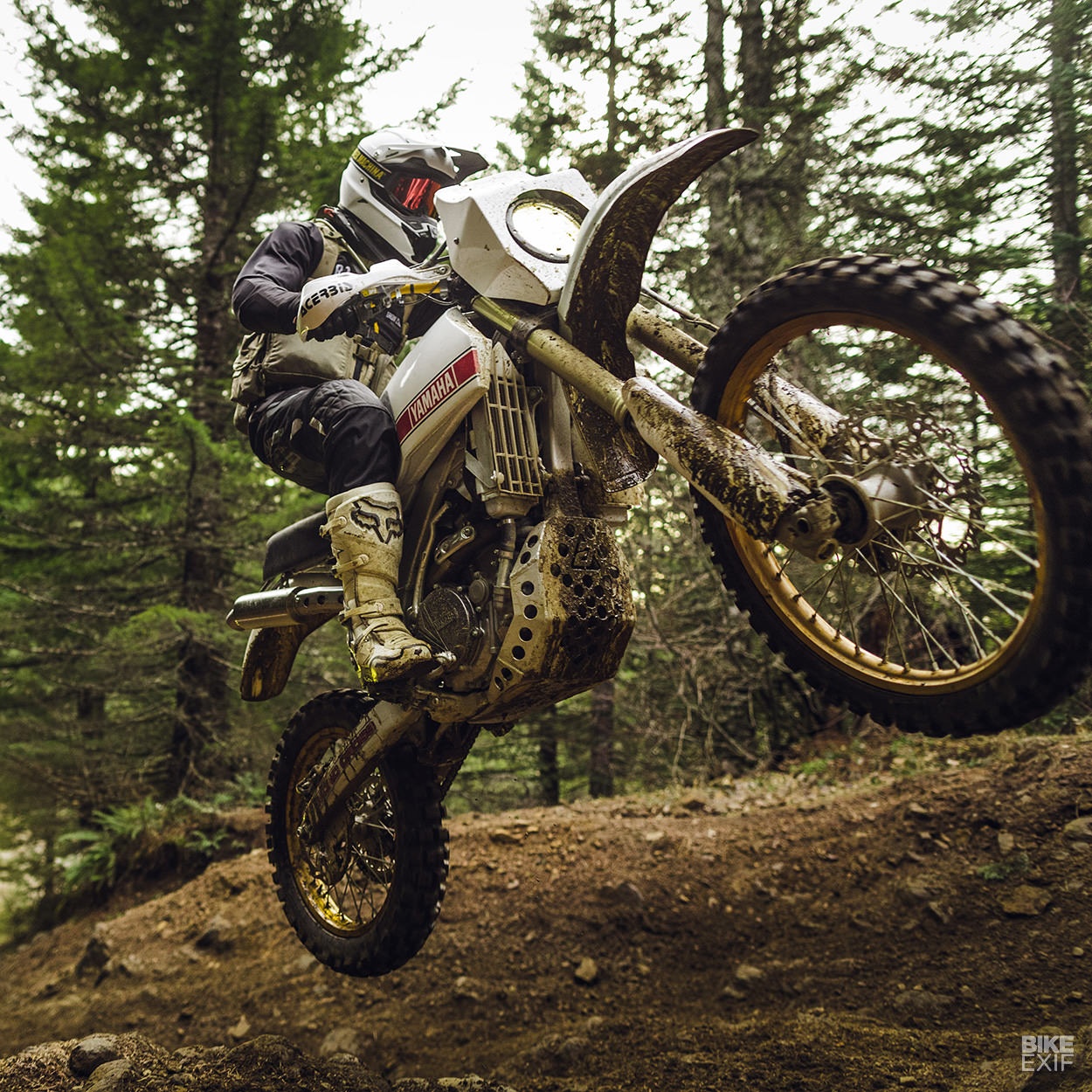 Yamaha WR450F 2017 anh 2